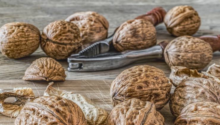 Walnüsse - deshalb werden sie mit Lorbeerblatt gekocht